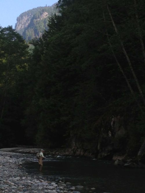 Small River Fly Fishing Whistler