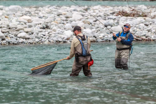 netting a big bull trout near Whistler BC