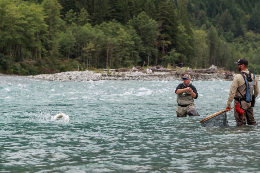 Bull Trout Fly Fishing